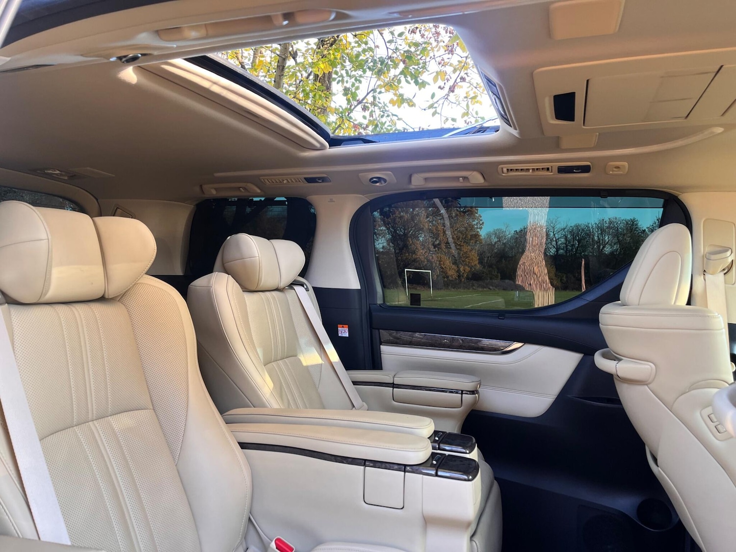 Used Toyota Alphard for sale - 76800813: Photo 29