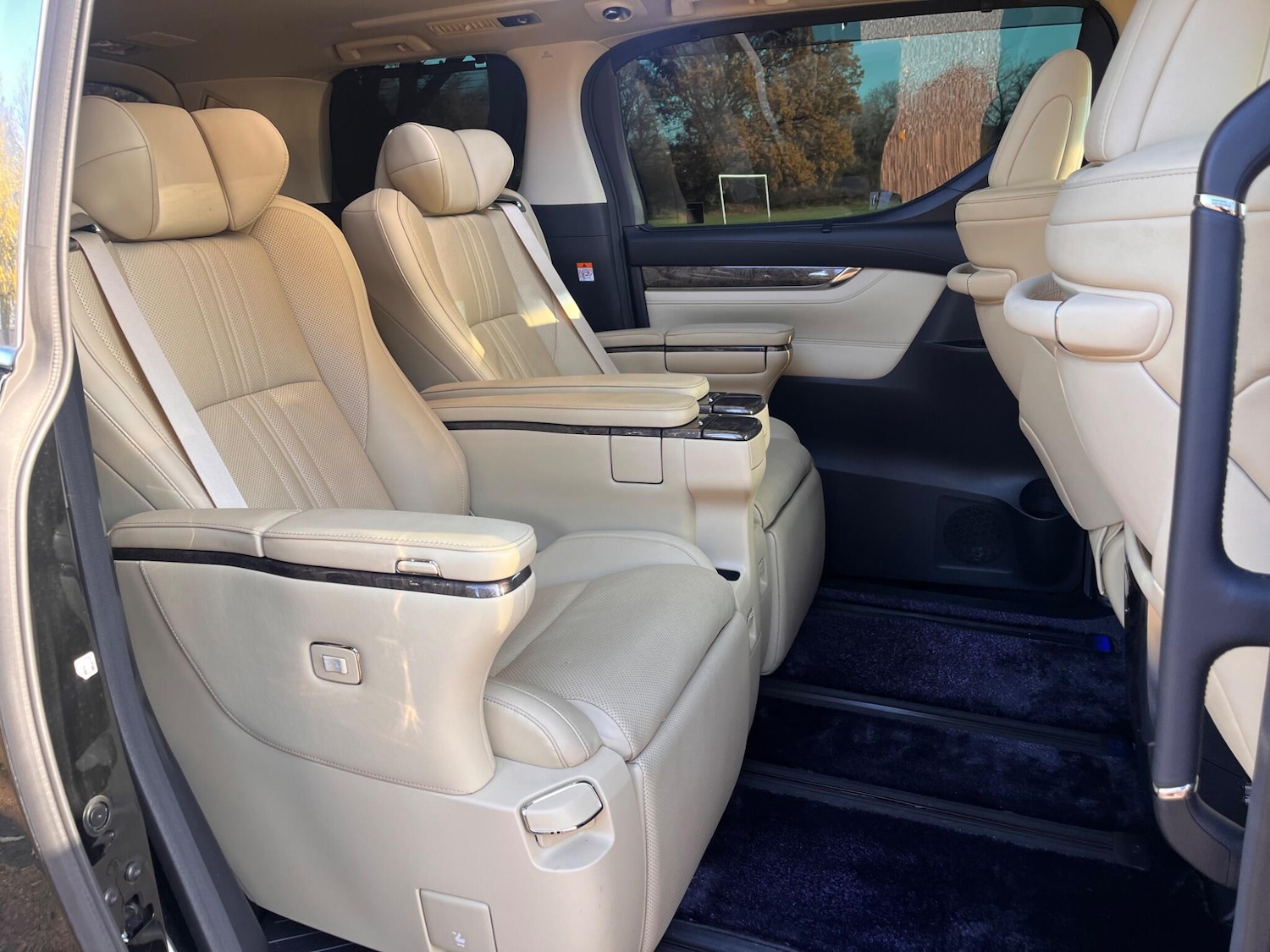 Used Toyota Alphard for sale - 76800813: Photo 30