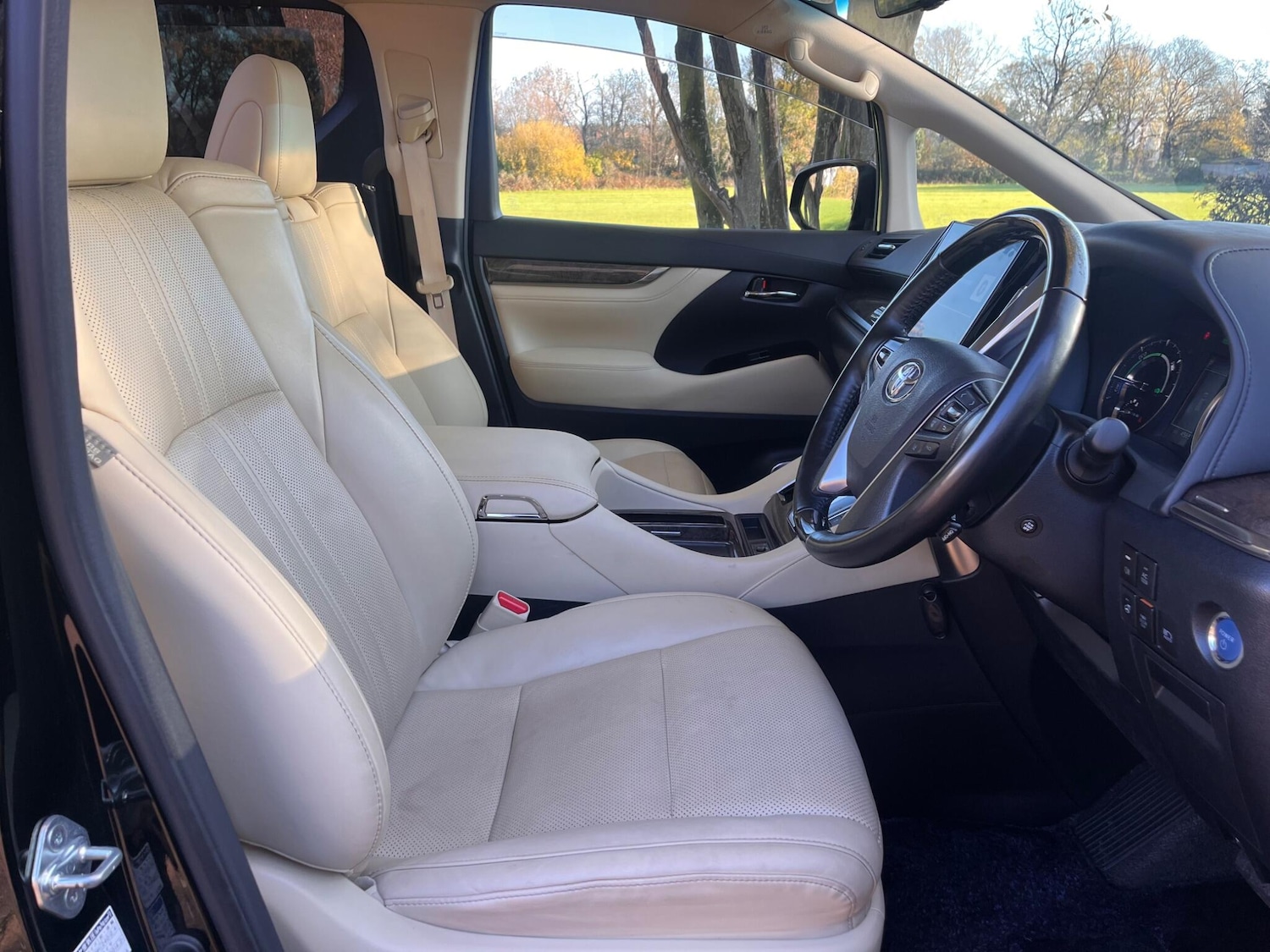 Used Toyota Alphard for sale - 76800813: Photo 32