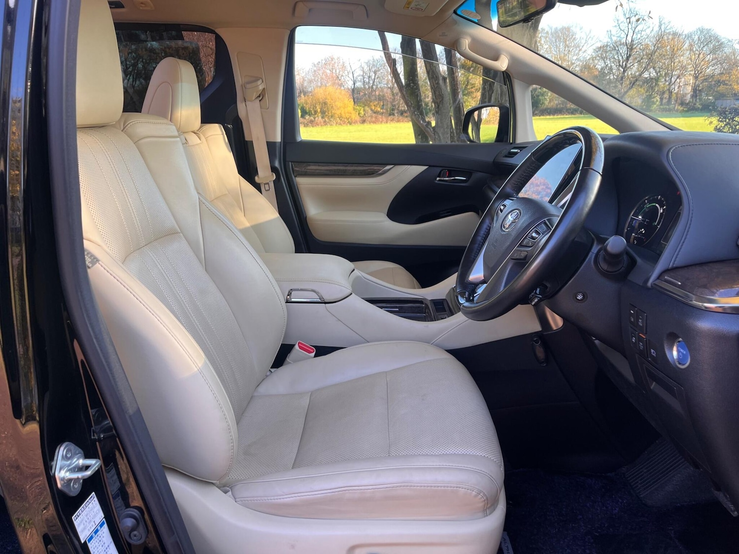 Used Toyota Alphard for sale - 76800813: Photo 34