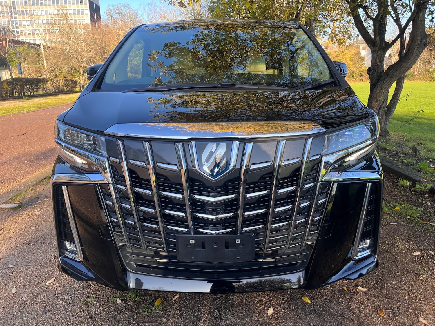 Used Toyota Alphard for sale - 76800813: Photo 5