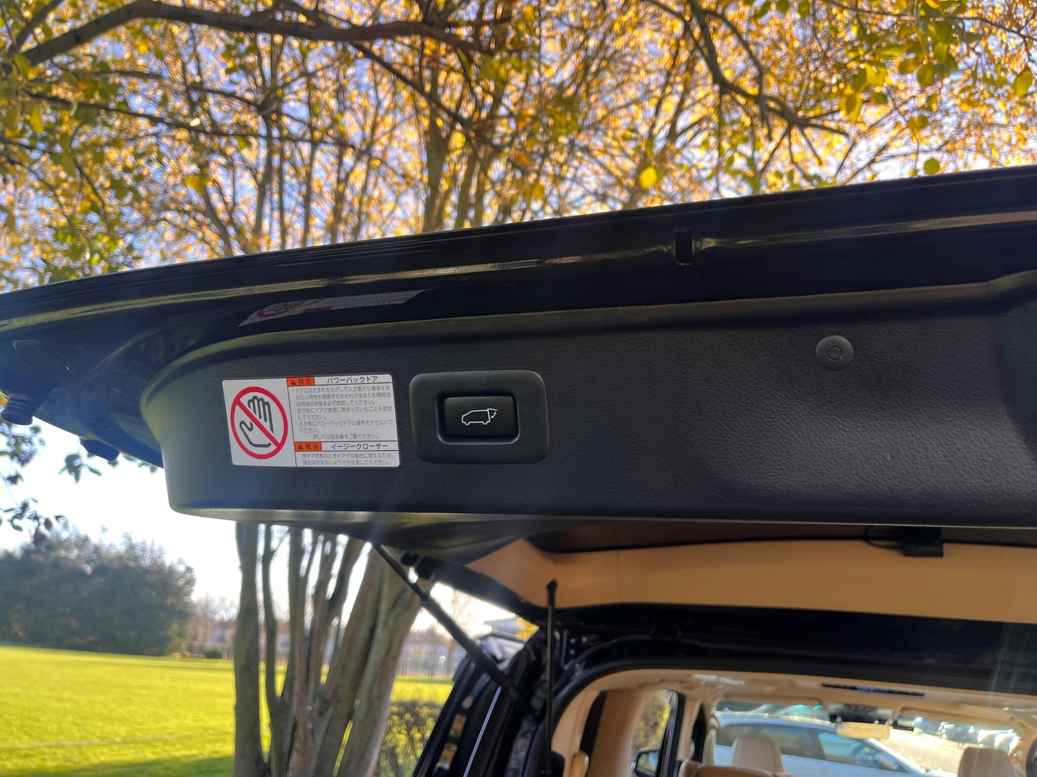 Used Toyota Alphard for sale - 76800813: Photo 58