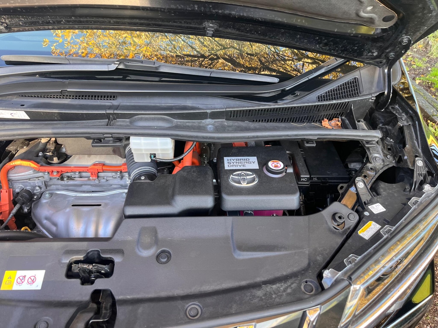 Used Toyota Alphard for sale - 76800813: Photo 63