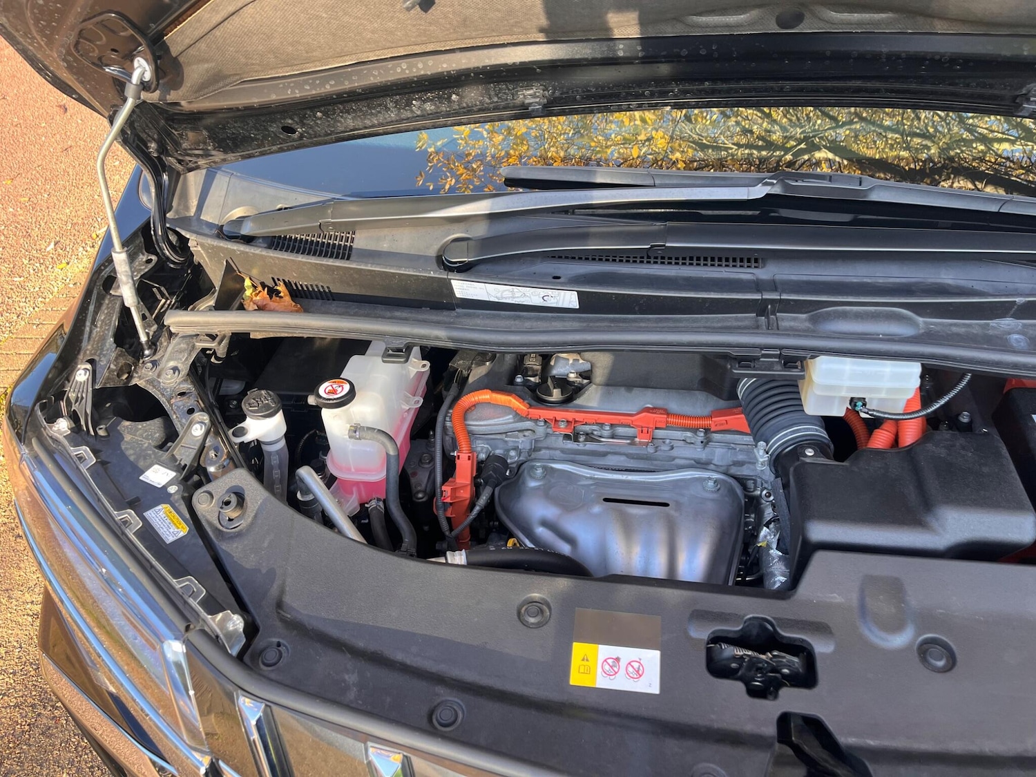 Used Toyota Alphard for sale - 76800813: Photo 64