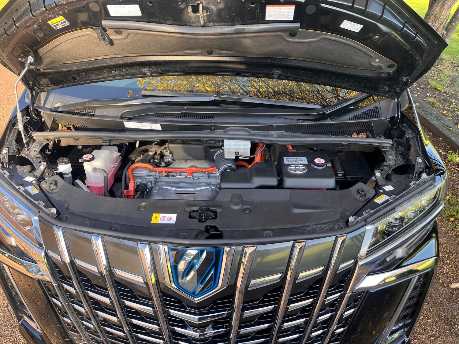 Used Toyota Alphard for sale - 76800813: Photo 65