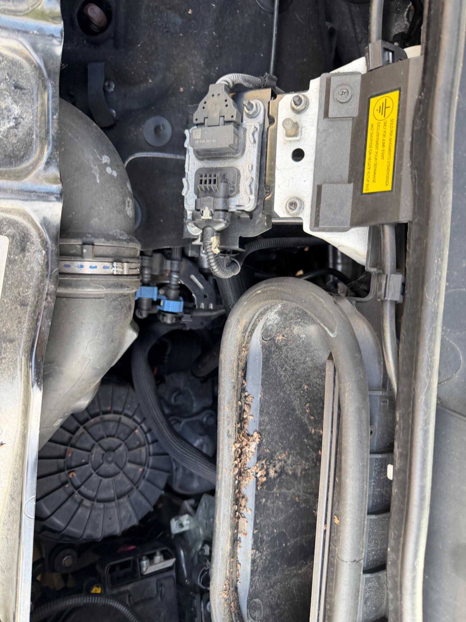 Used Citroen Relay for sale - 77737530: Photo 21