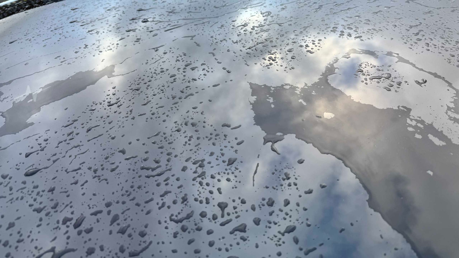 Used Polestar Polestar 2 2022 for sale - 77674682: Photo 14