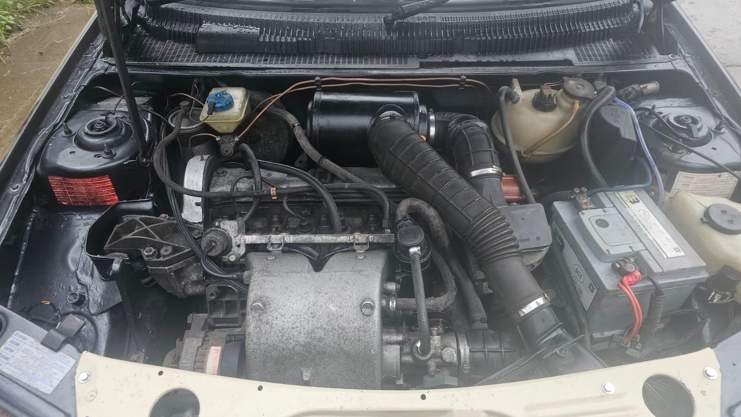 Used Peugeot 205 1987 for sale - 77315196: Photo 60