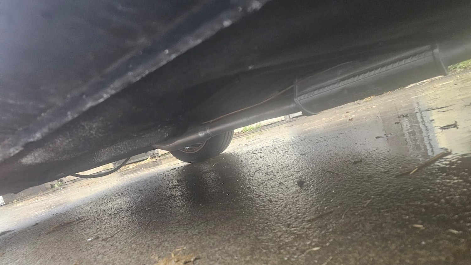 Used Peugeot 205 1987 for sale - 77315196: Photo 89