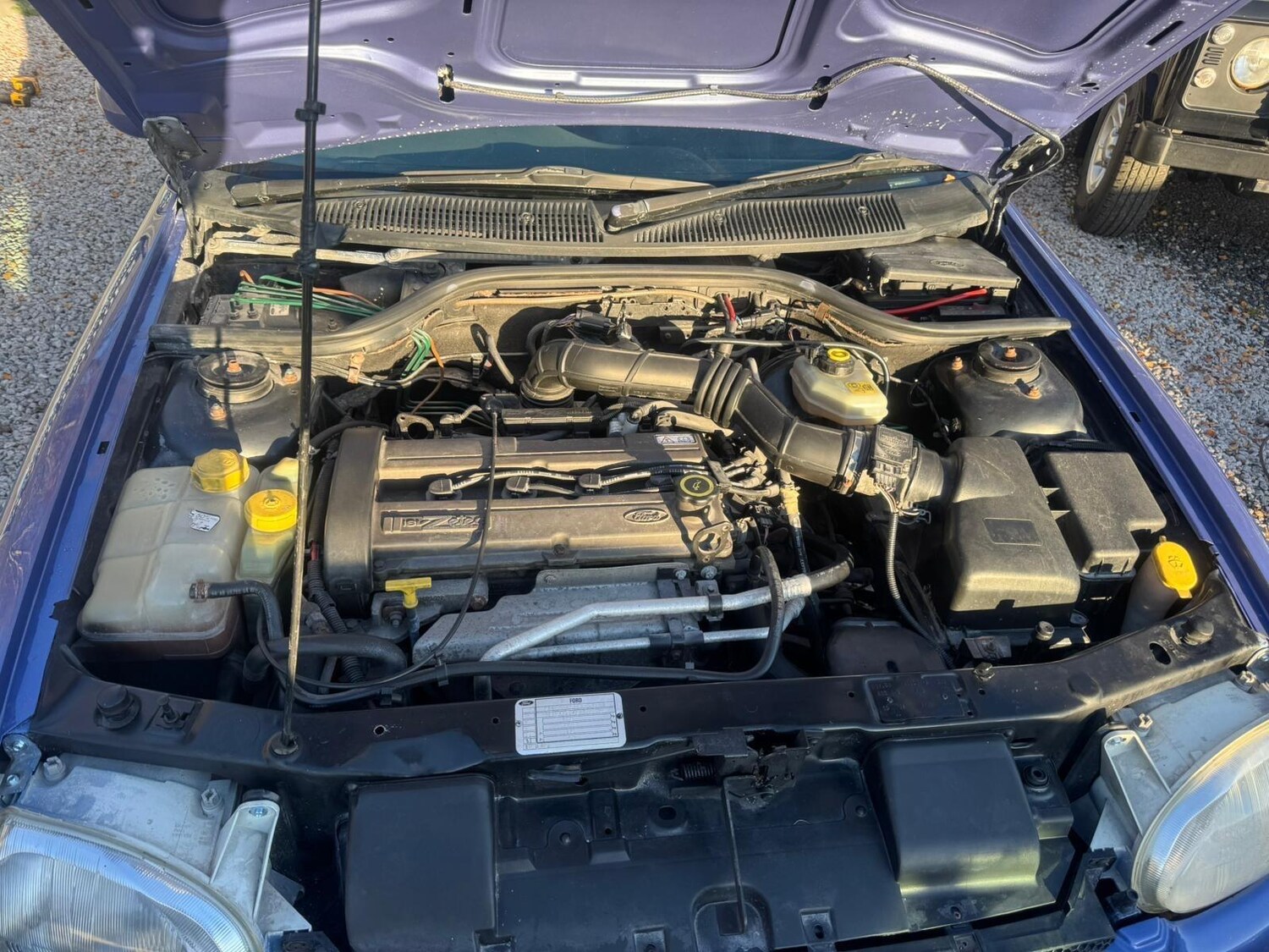 Used Ford Escort for sale - 77574372: Photo 14