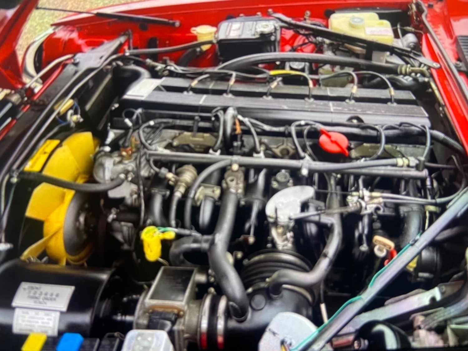 Used Jaguar XJS for sale - 77351679: Photo 40