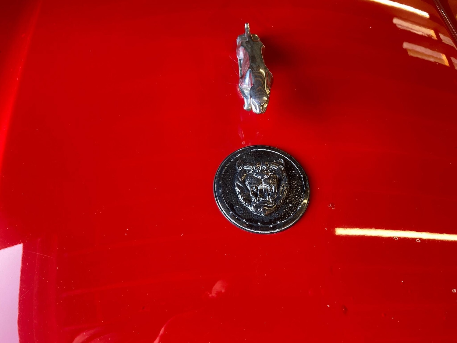 Used Jaguar XJS for sale - 77351679: Photo 69