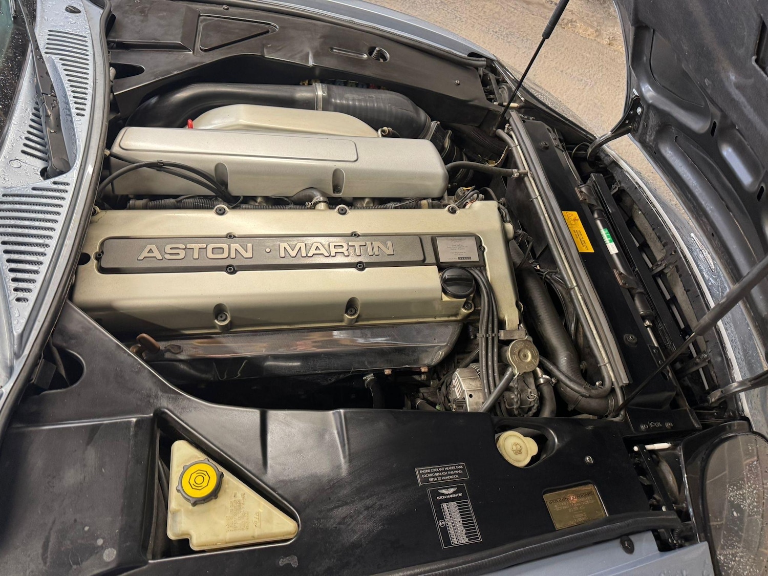Vehicle 19