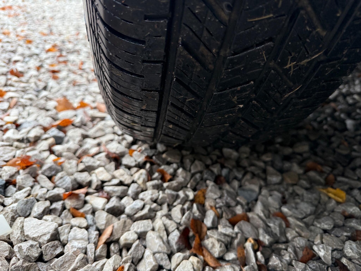 Used Rolls-Royce Silver Spirit for sale - 76865841: Photo 55