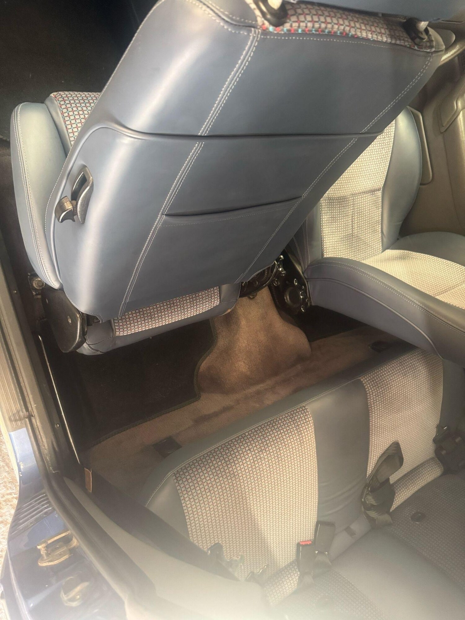 Used Ford Escort for sale - 77484517: Photo 63