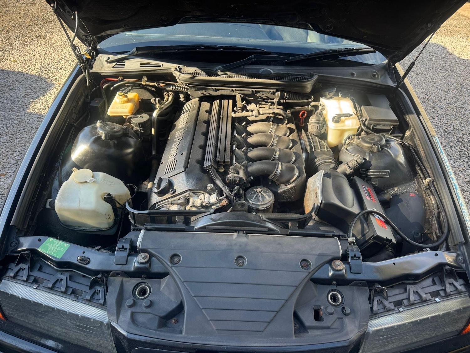 Used BMW M3 1995 for sale - 76109419: Photo 66