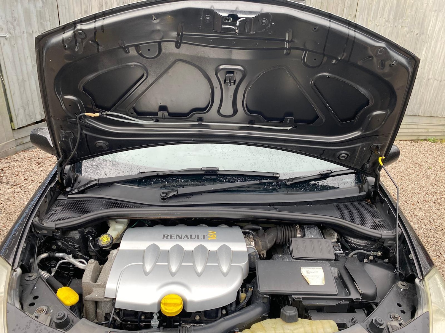 Used Renault Clio for sale - 77784235: Photo 29