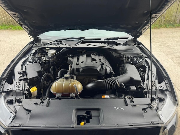 Used Ford Mustang 2018 for sale - 75670770: Photo 17