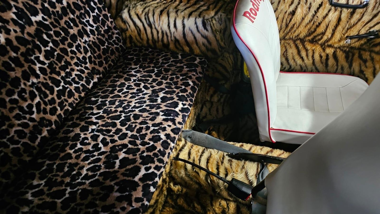 Used Reliant Other 1971 for sale - 77574518: Photo 18