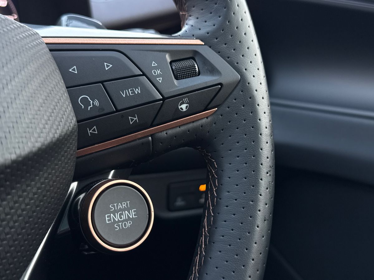 Used Cupra Terramar 2025 for sale - 77764497: Photo 38