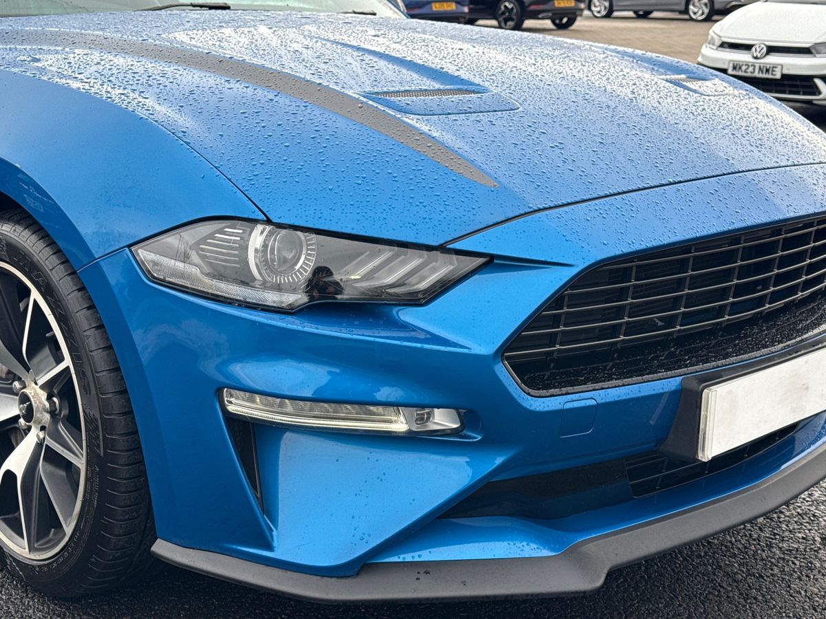 Used Ford Mustang 2020 for sale - 77463141: Photo 17