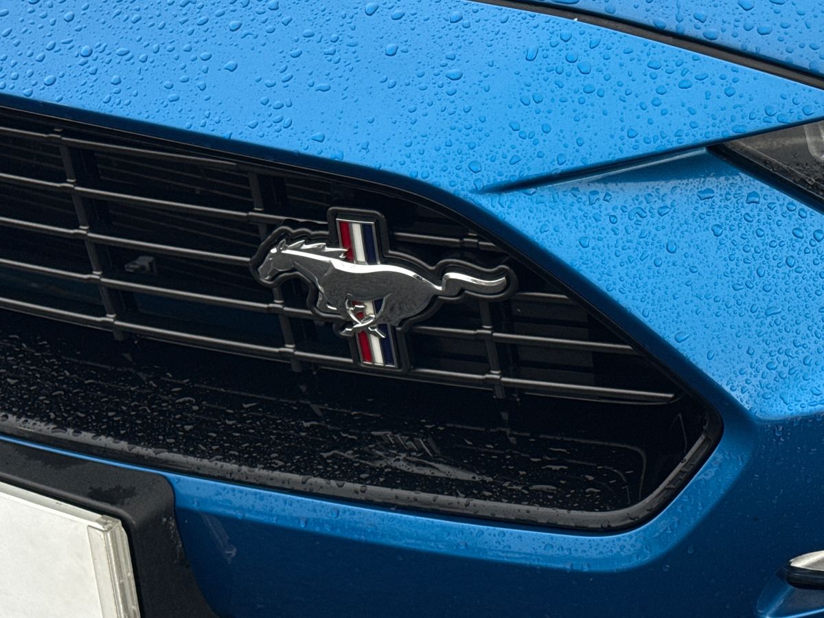 Used Ford Mustang 2020 for sale - 77463141: Photo 26