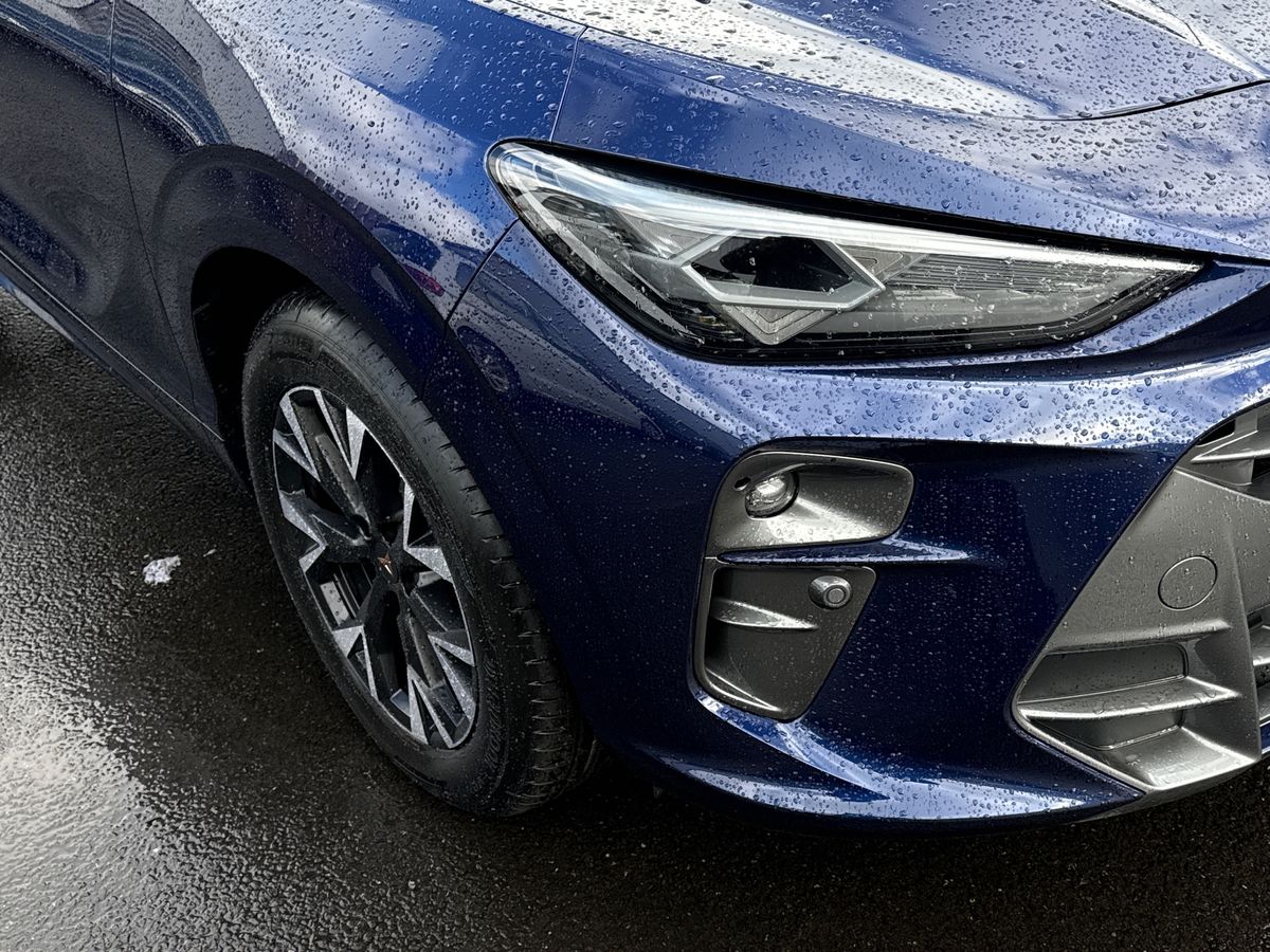 Used Cupra Terramar 2025 for sale - 77577798: Photo 16