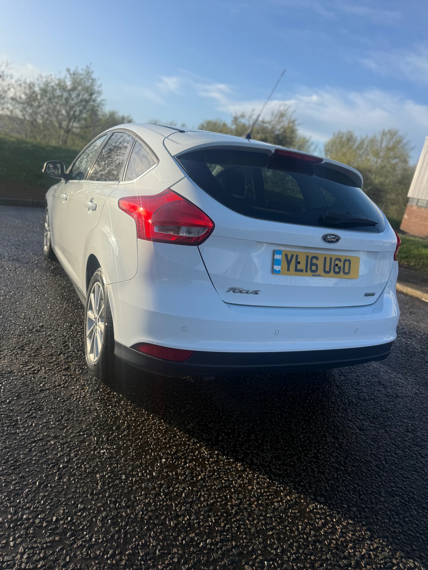 Used Ford Focus 2016 for sale - 78213455: Photo 12