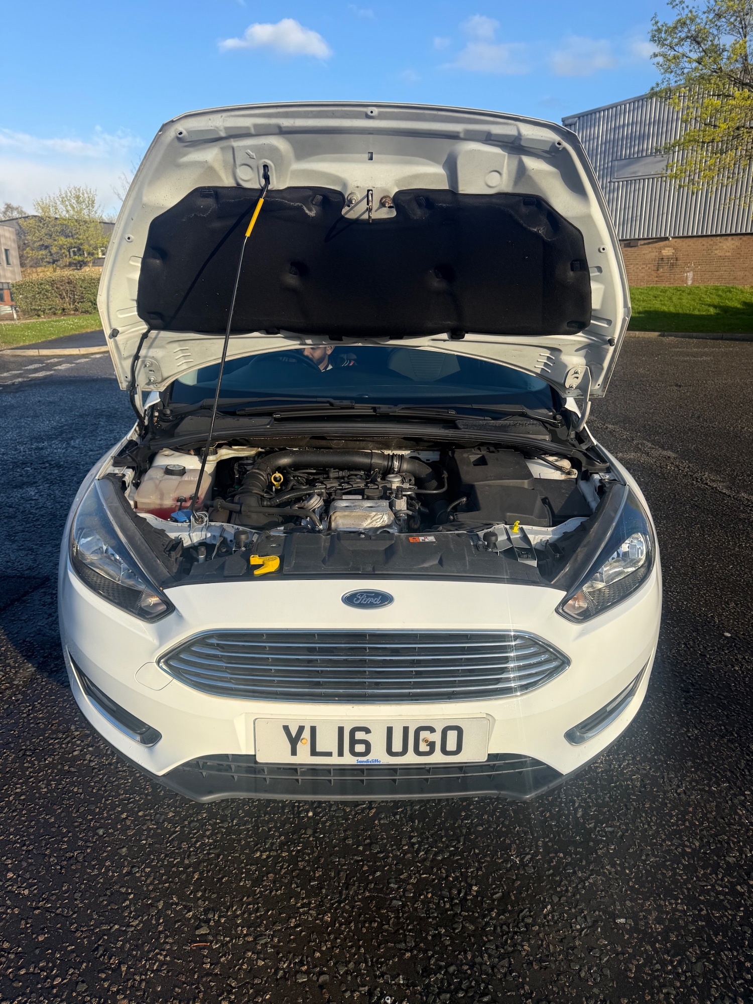 Used Ford Focus 2016 for sale - 78213455: Photo 21