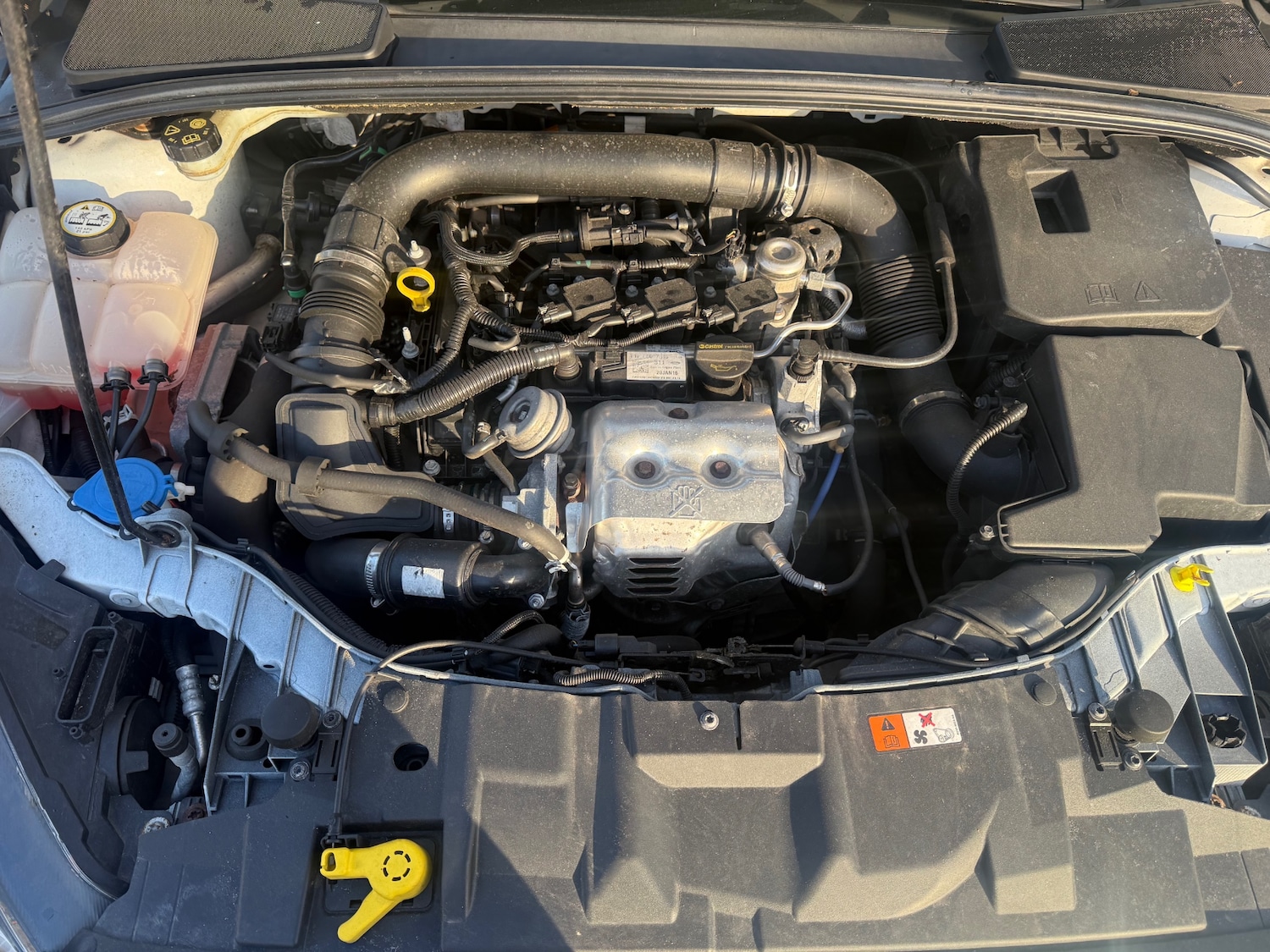 Used Ford Focus 2016 for sale - 78213455: Photo 22