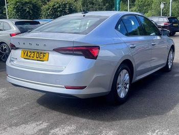 Used Skoda Octavia 2023 for sale - 78849896: Photo