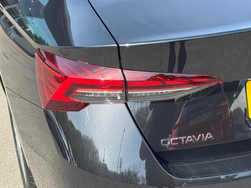 Used Skoda Octavia for sale - 77447371: Photo 14