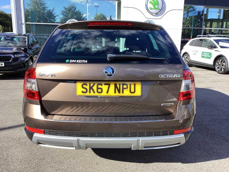 Used Skoda Octavia 2017 for sale - 76603439: Photo 11