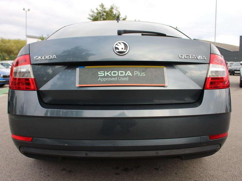 Used Skoda Octavia 2017 for sale - 77030699: Photo 13