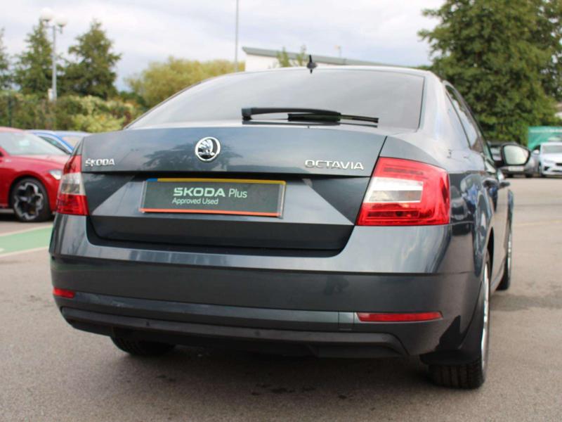 Used Skoda Octavia 2017 for sale - 77030699: Photo 8