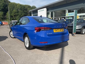 Used Skoda Octavia 2024 for sale - 79436809: Photo