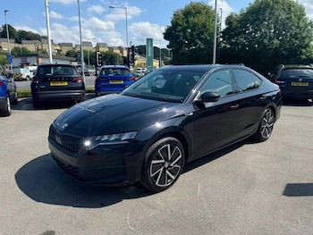 Used Skoda Octavia undefined for sale - 77447332: Photo