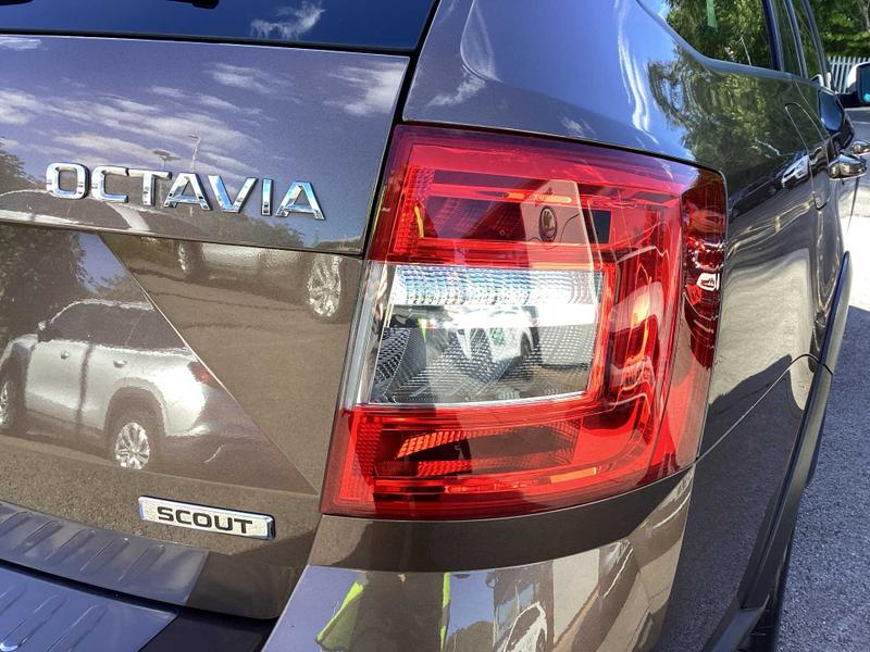 Used Skoda Octavia 2017 for sale - 76006302: Photo 15