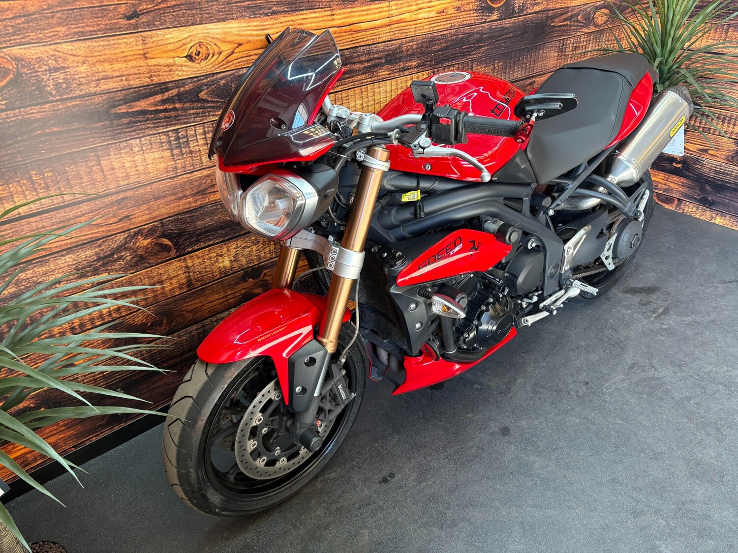 Used Triumph SPEED 2013 for sale - 78421049: Photo 4