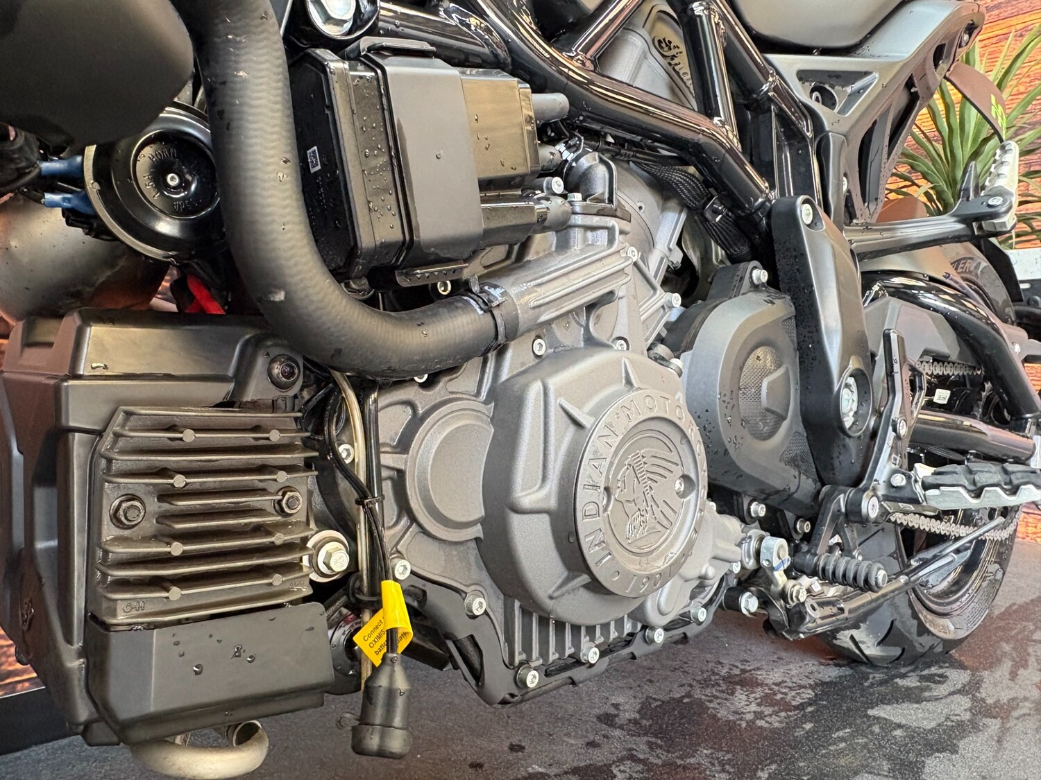 Used Indian FTR 2023 for sale - 78859053: Photo 28