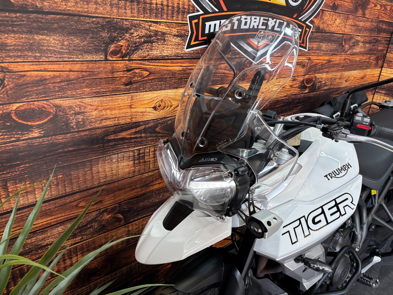 Used Triumph TIGER 2021 for sale - 78486041: Photo 16