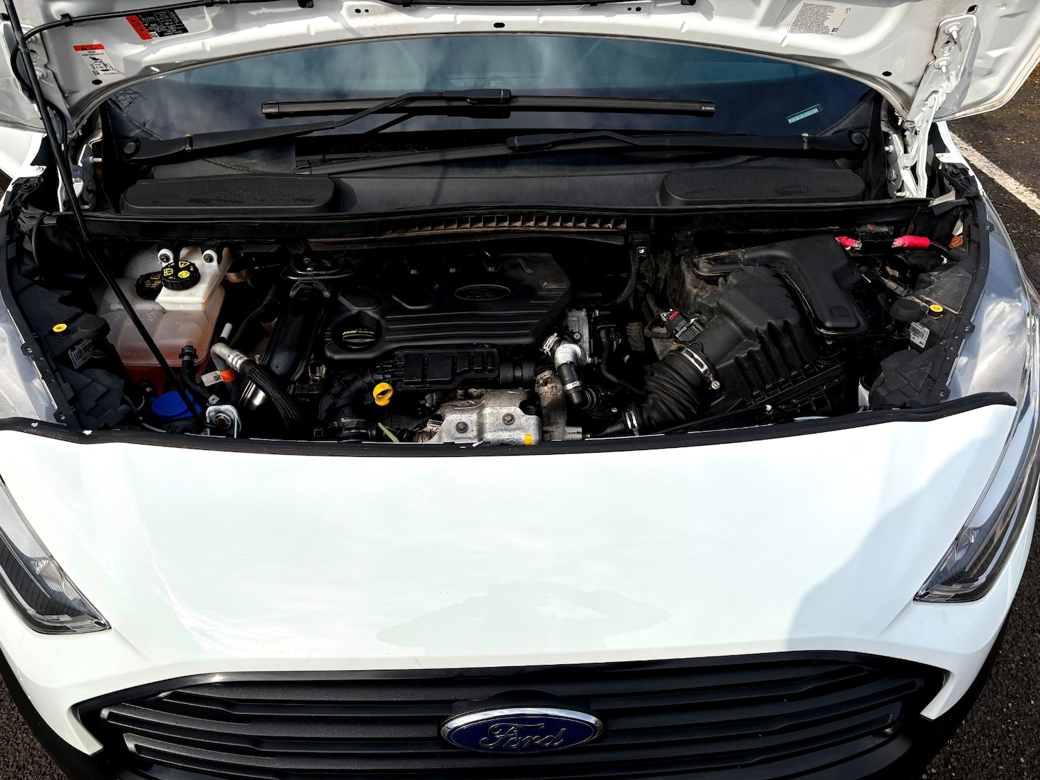 Used Ford Transit Connect 2018 for sale - 77762425: Photo 32