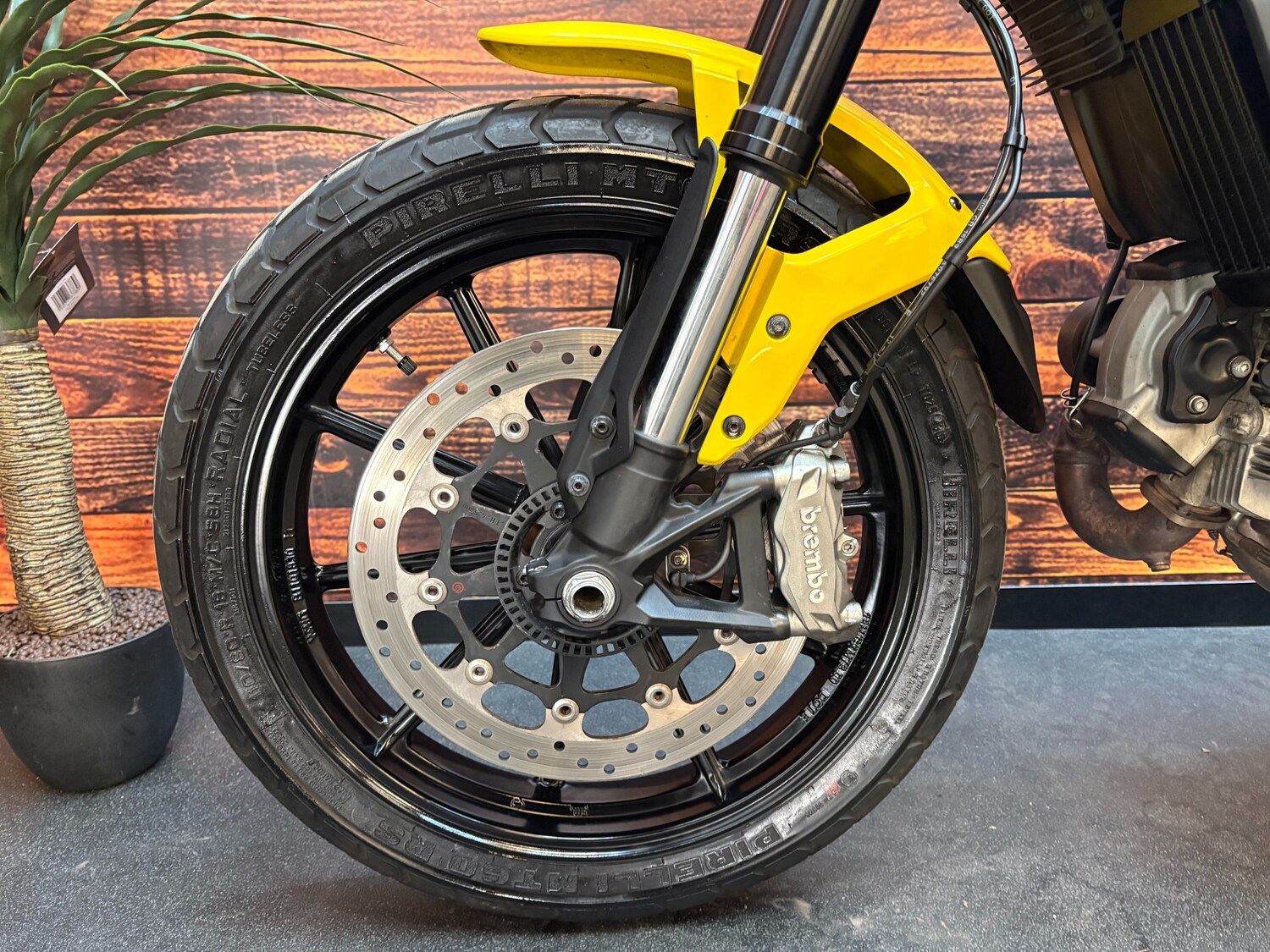 Used Ducati Scrambler 2016 for sale - 78282814: Photo 15