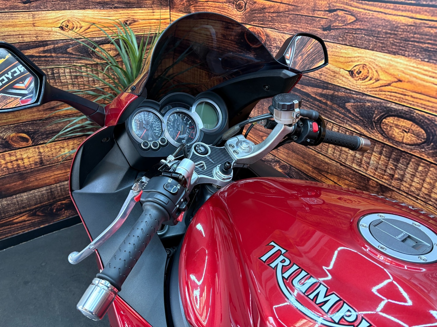 Used Triumph SPRINT 2006 for sale - 78615284: Photo 10