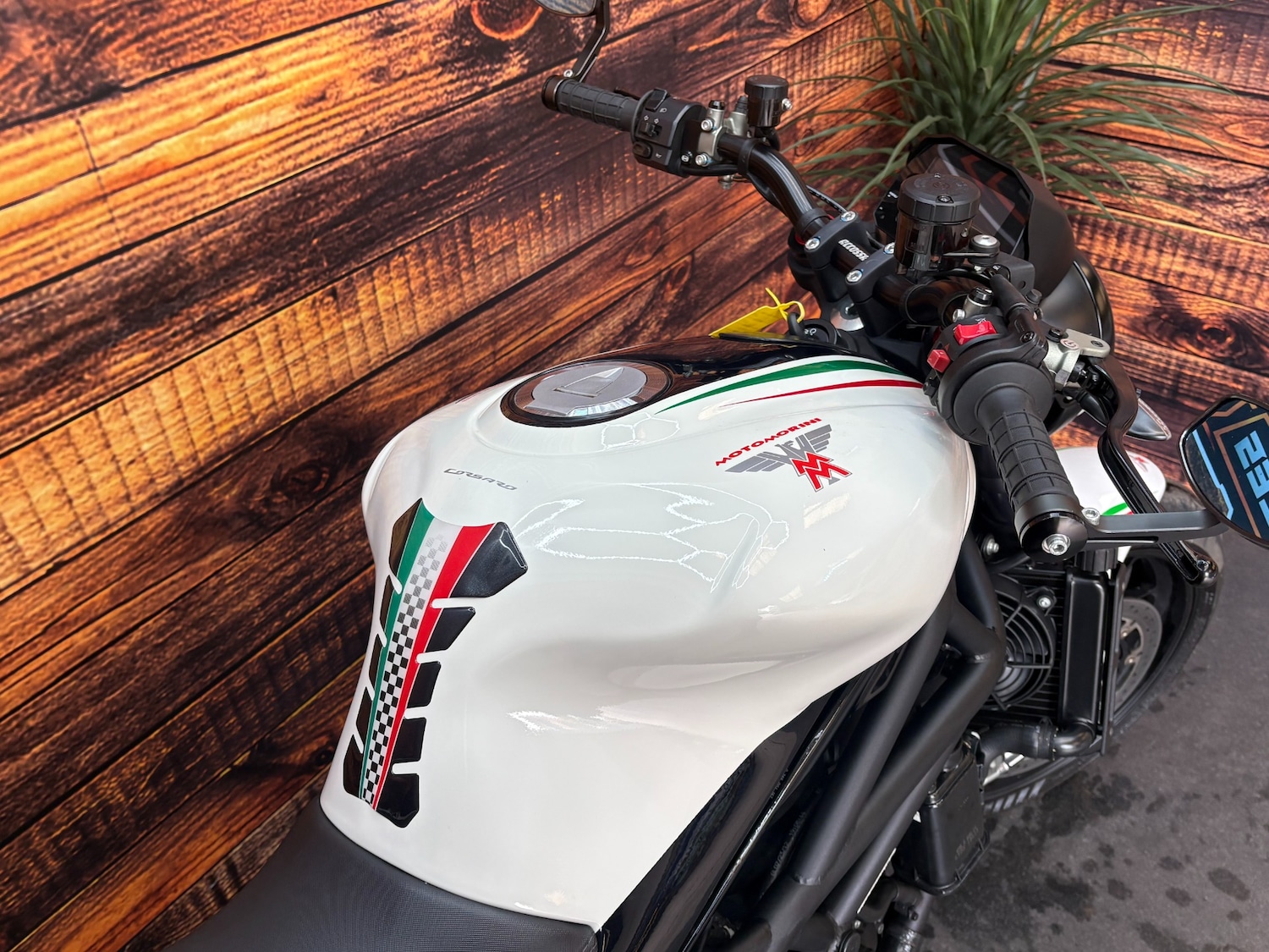 Used MOTO MORINI CORSARO 2021 for sale - 78268896: Photo 2