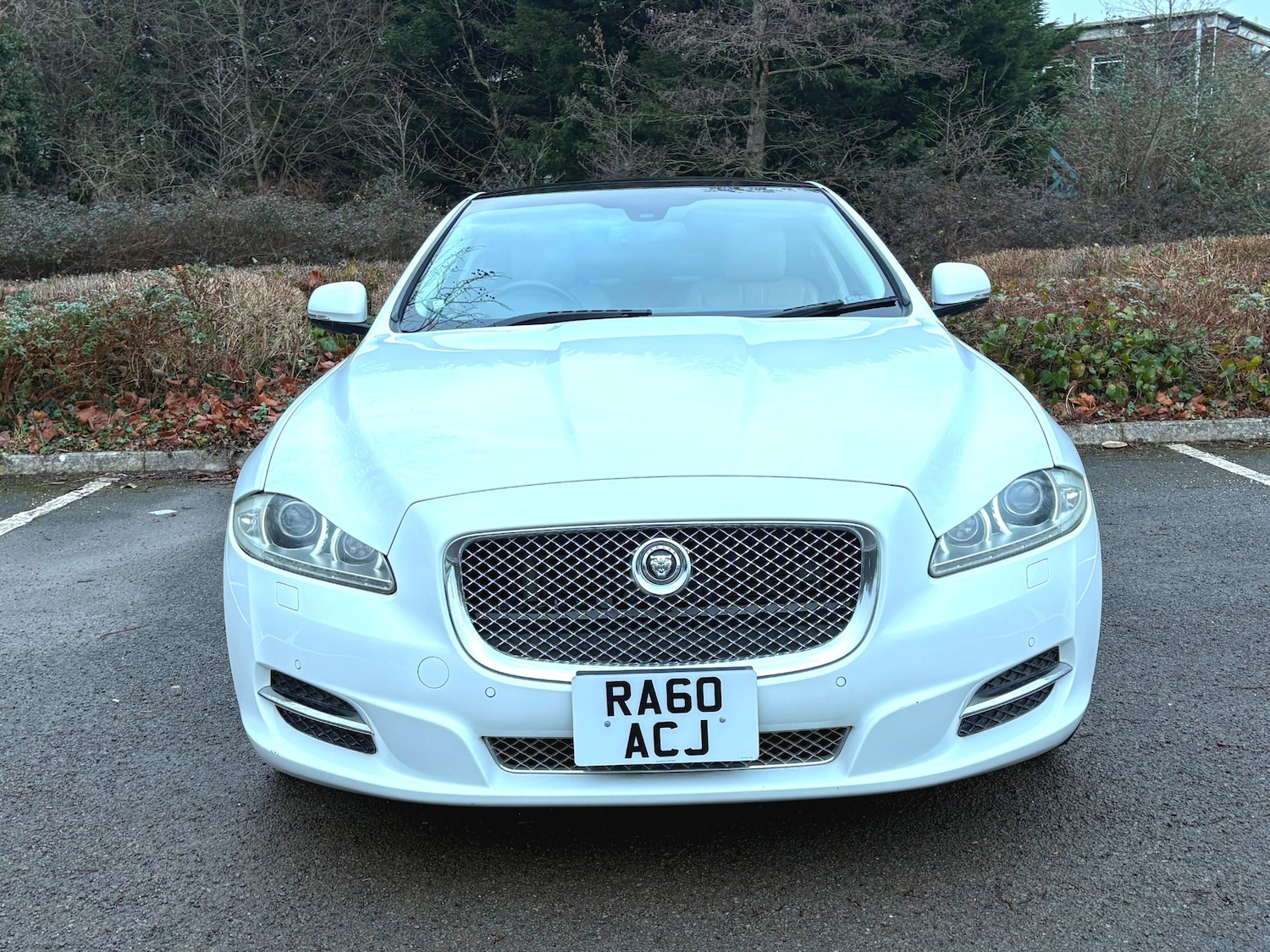 Used Jaguar XJ 2025 for sale - 77363680: Photo 2