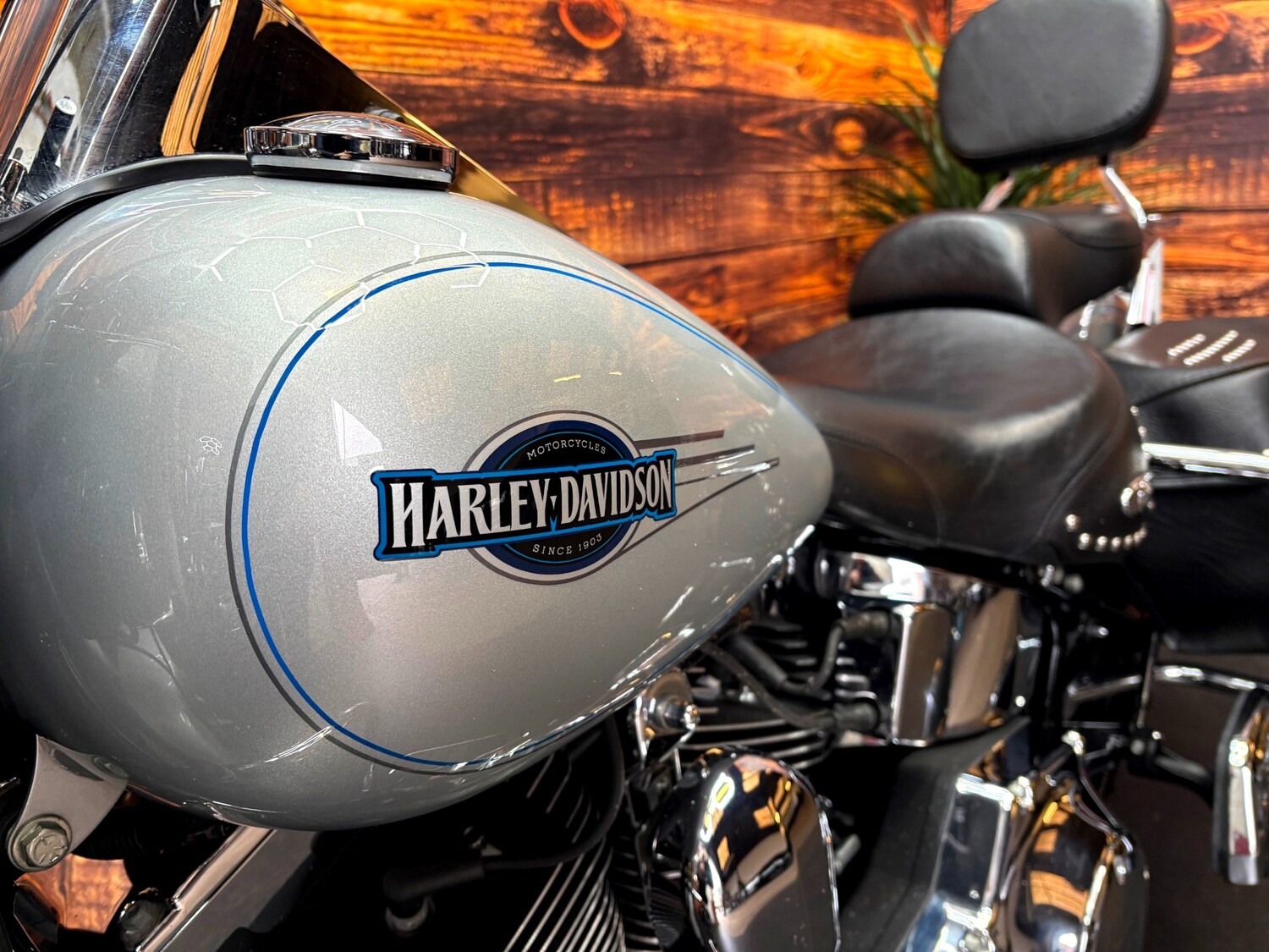 Harley-Davidson SOFTAIL