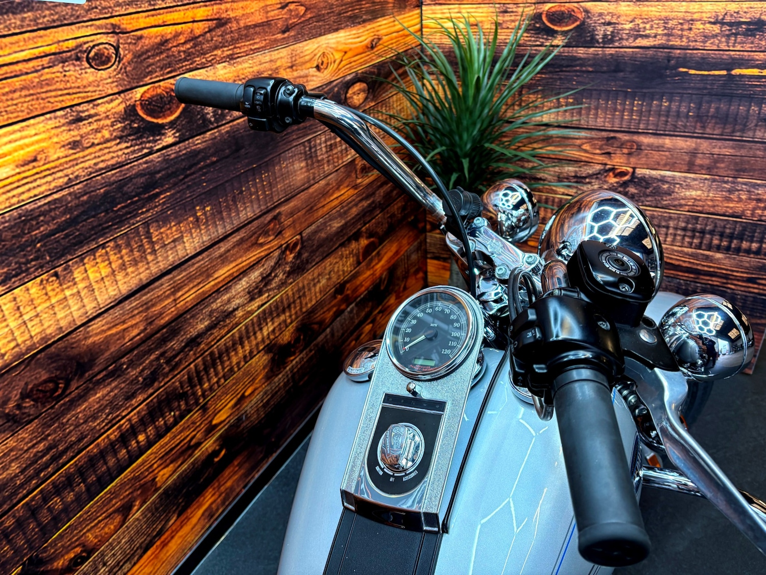 Harley-Davidson SOFTAIL