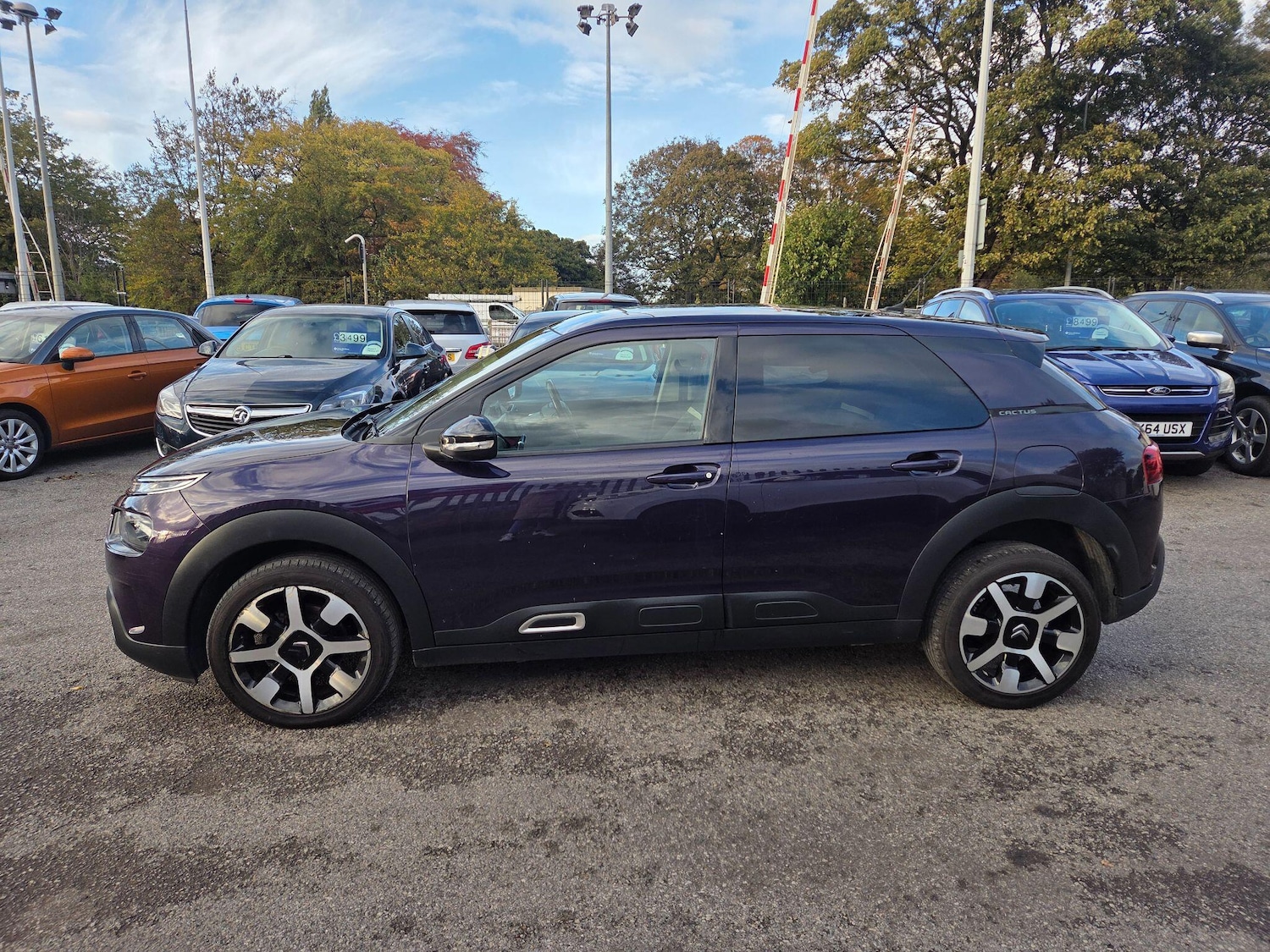 Used Citroen C4 Cactus 2019 for sale - 76349737: Photo 6