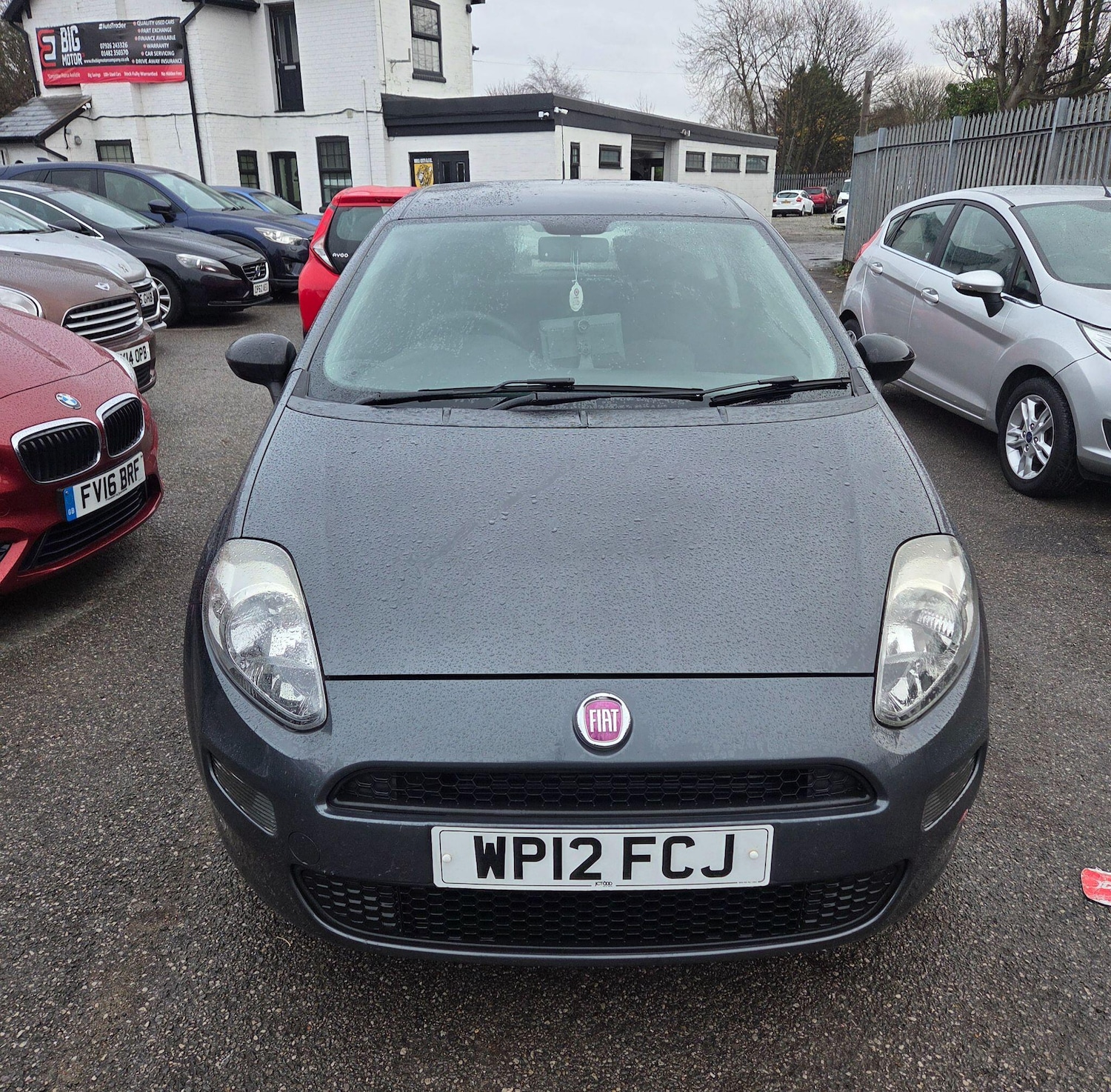 Used Fiat Punto 2012 for sale - 77892895: Photo 2